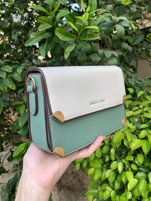 charles and keith cross body bag