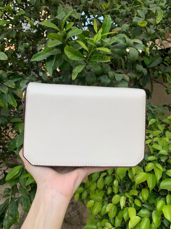 charles and keith cross body bag