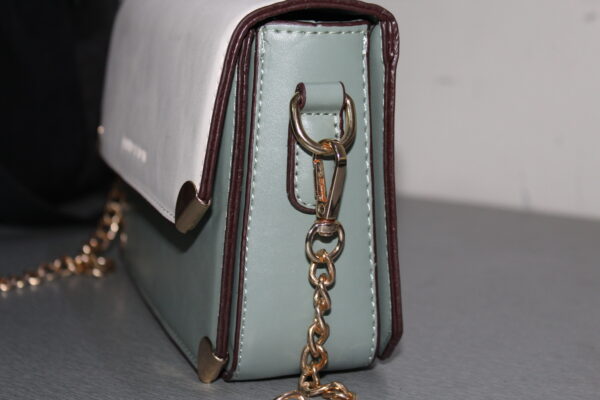 charles and keith cross body bag