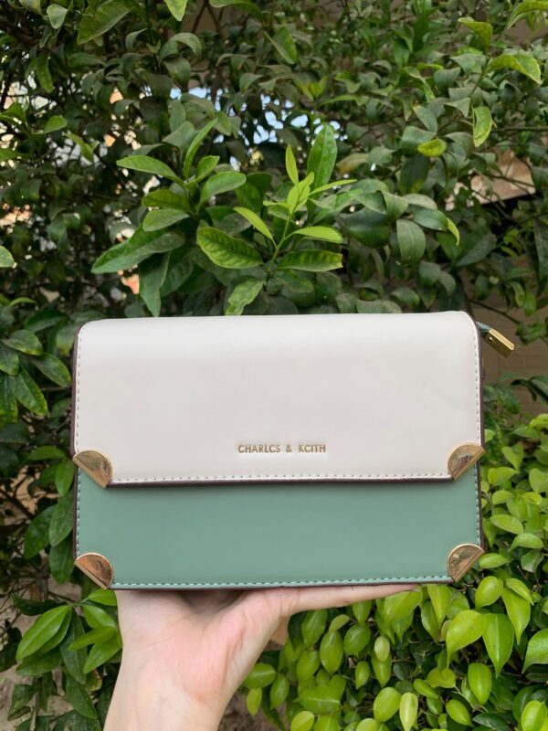 charles and keith cross body bag